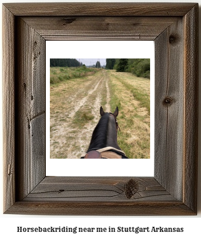 horseback riding near me in Stuttgart, Arkansas